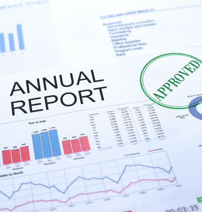 Professional Annual Accounts for Accurate Financial Reporting